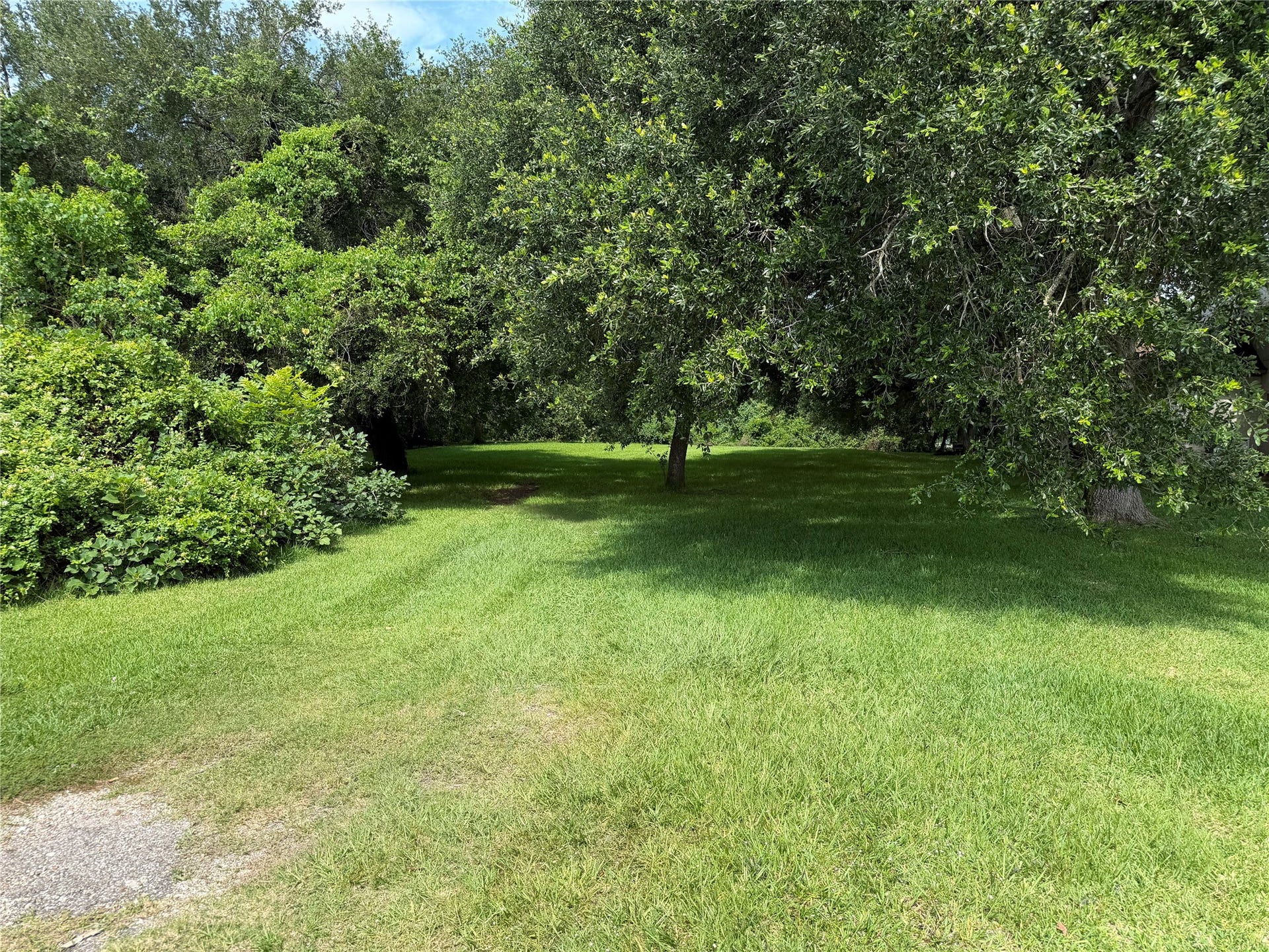 Front Yard