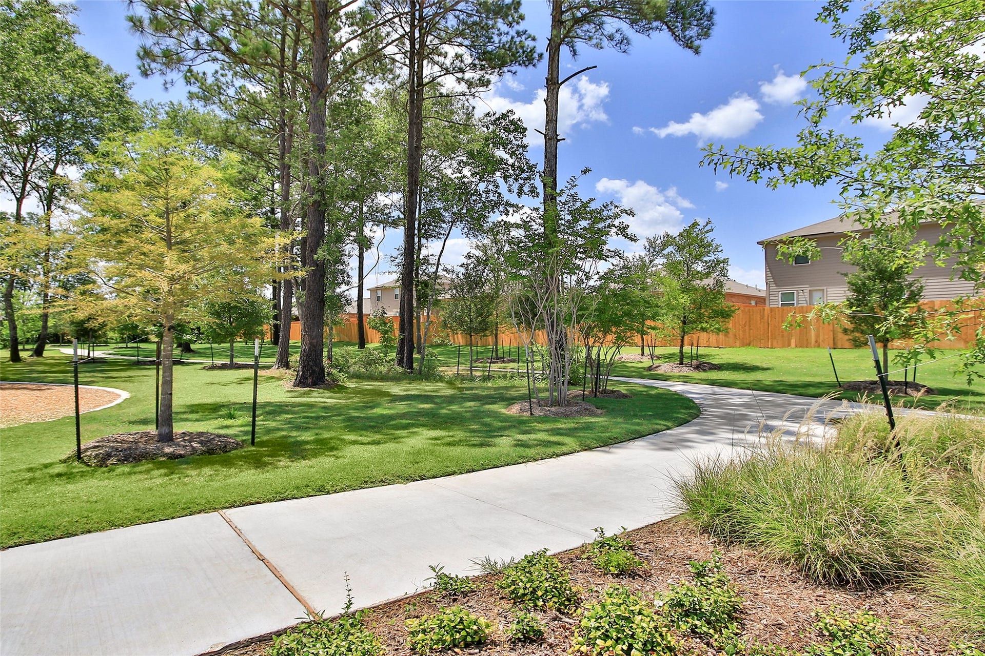 25677 Rose Creek Drive, Cleveland, TX 77328 25677 Rose Creek Drive, Cleveland, TX 77328