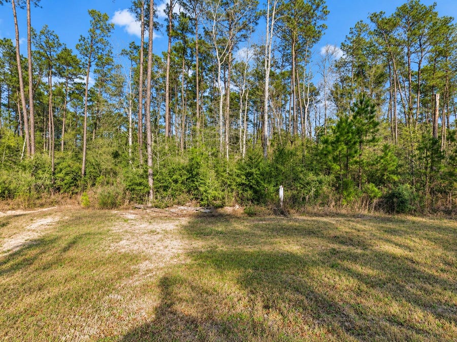 Property photo for 10721 Ruger Road, Willis, TX