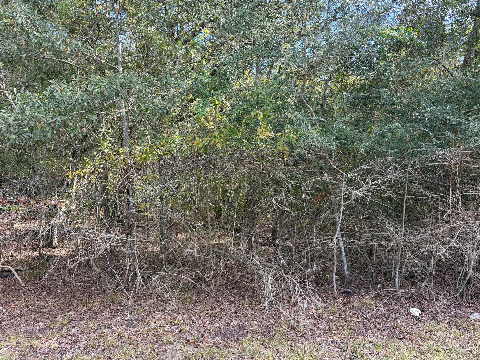 00 Bayou Drive, Danbury, TX 77534