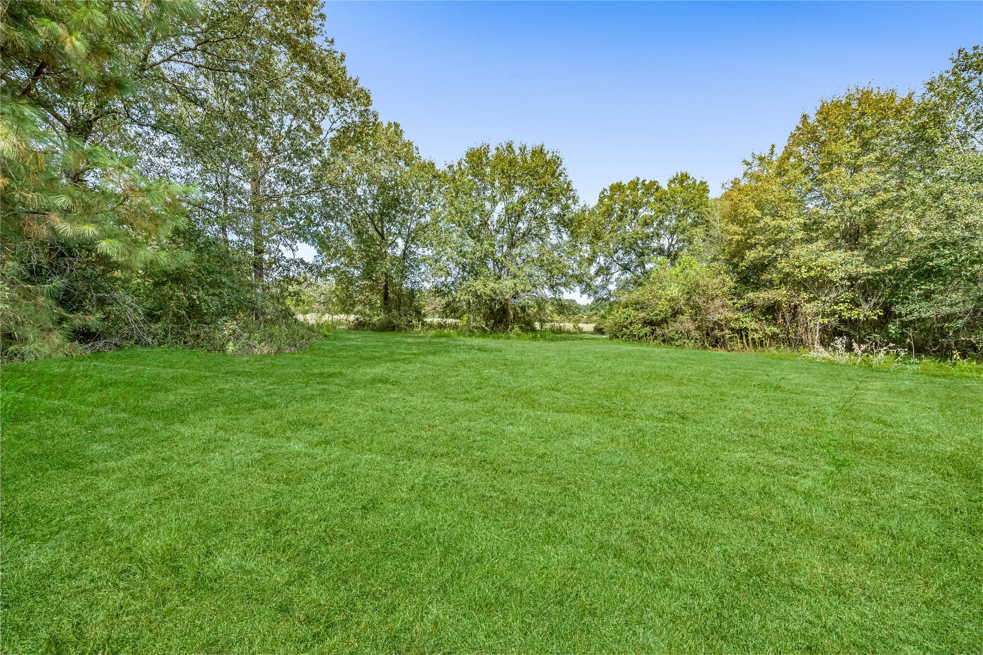 27530 Denn Road, Montgomery, TX 77356 27530 Denn Road, Montgomery, TX 77356