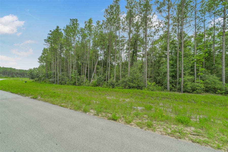 Property photo for 11991 High Branch Way, Willis, TX