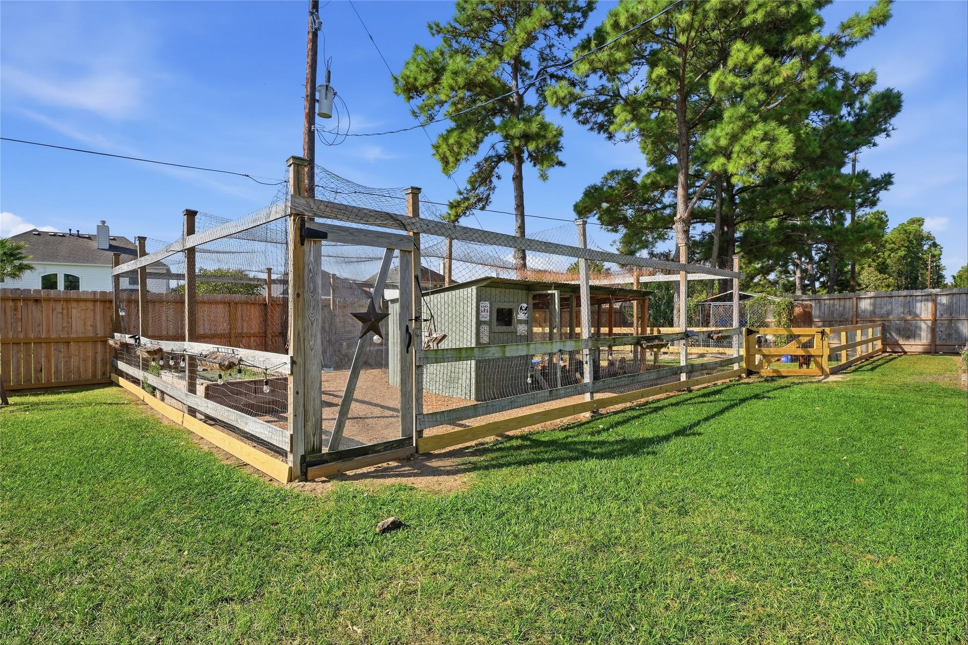 10711 Indian Trails Drive, Tomball, TX 77375 Beautiful chicken coop currently home to egg-laying chickens. Outdoor amenities are negotiable and may be included or removed based on the buyers preferences.