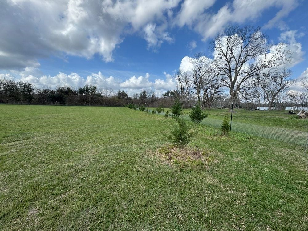 4527 Star Lake Lane, Rosharon, TX 77583