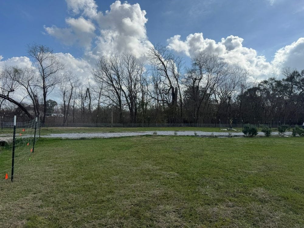 4527 Star Lake Lane, Rosharon, TX 77583