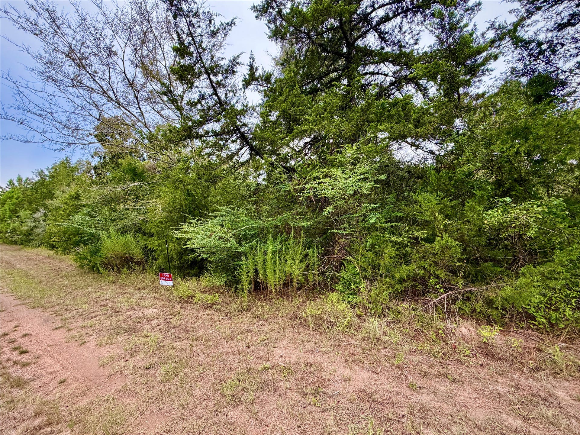 0 Cotton Tail Drive, Waller, TX 77484