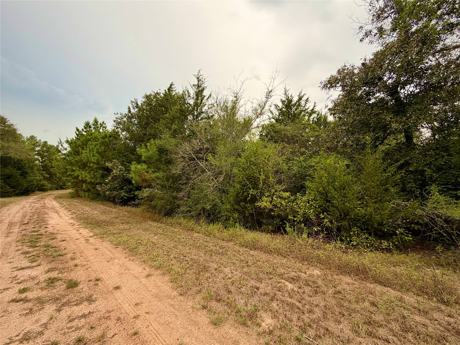 0 Cotton Tail Drive, Waller, TX 77484