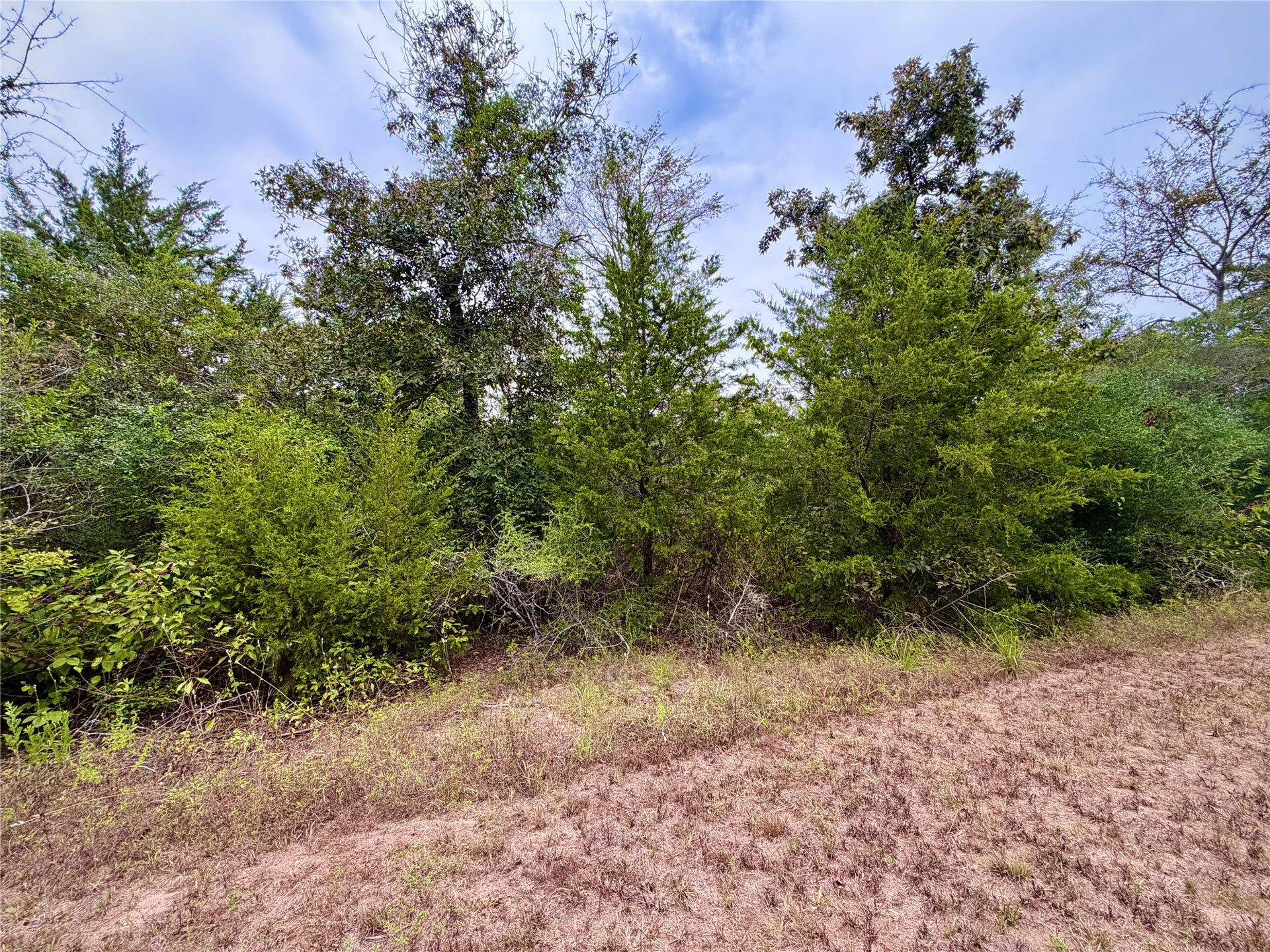 0 Cotton Tail Drive, Waller, TX 77484