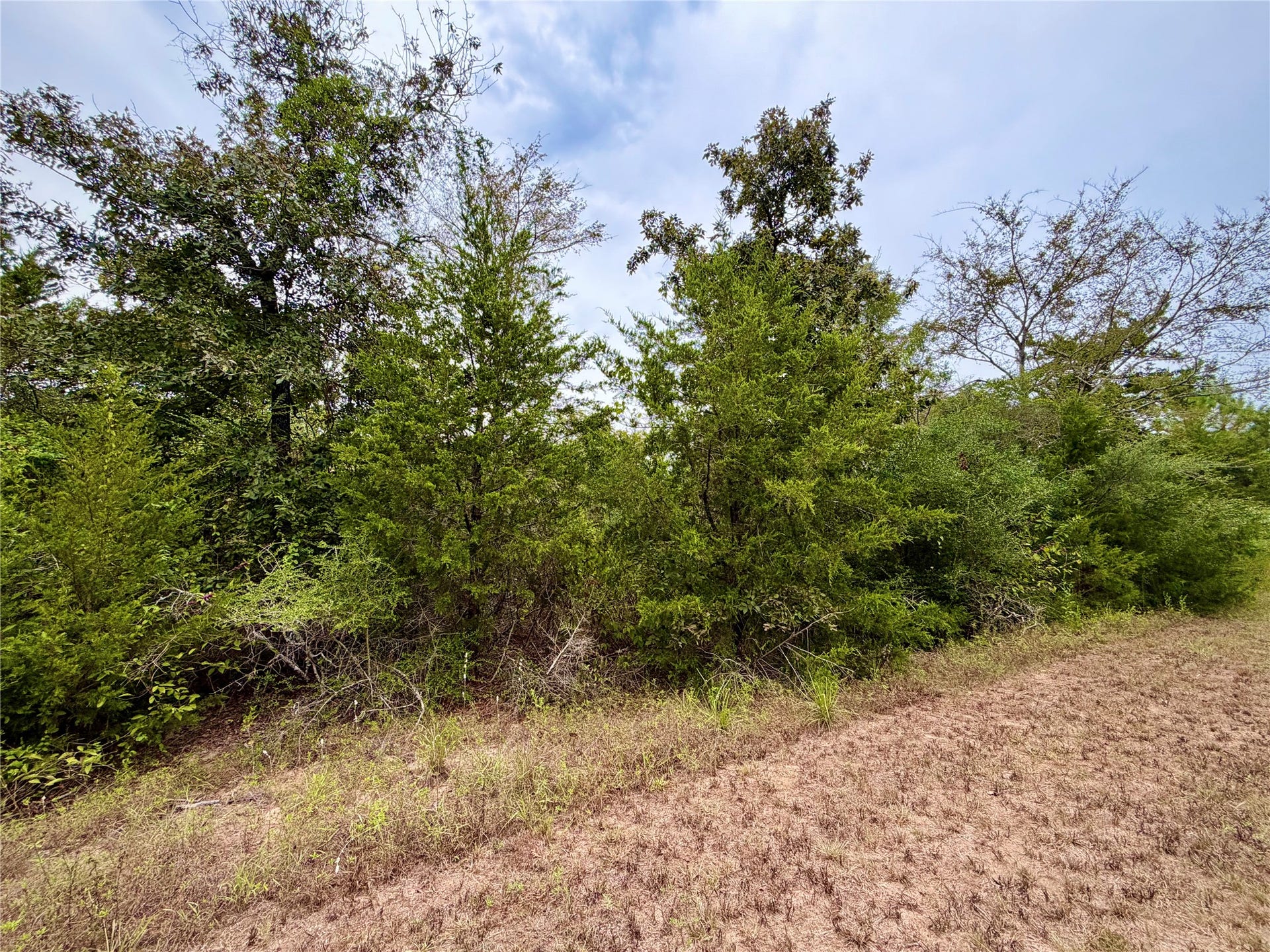 0 Cotton Tail Drive, Waller, TX 77484