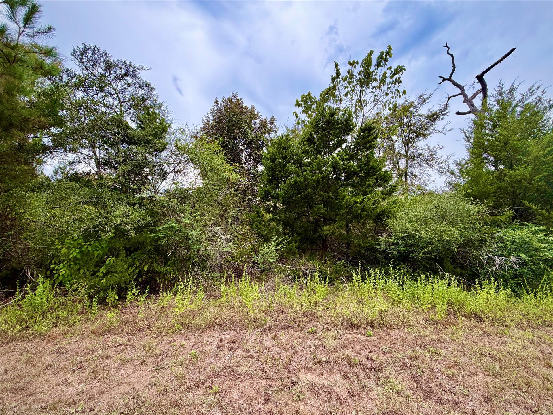 0 Cotton Tail Drive, Waller, TX 77484