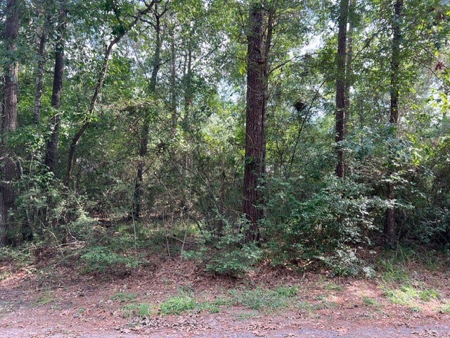 Property photo for 1006 Jefferson River Circle, Conroe, TX