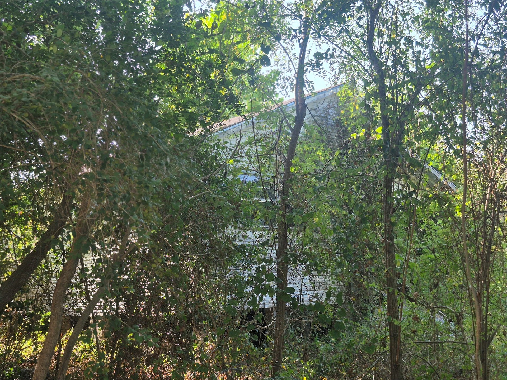 37623 Meadowview Drive, Hempstead, TX 77445 37623 Meadowview Drive, Hempstead, TX 77445