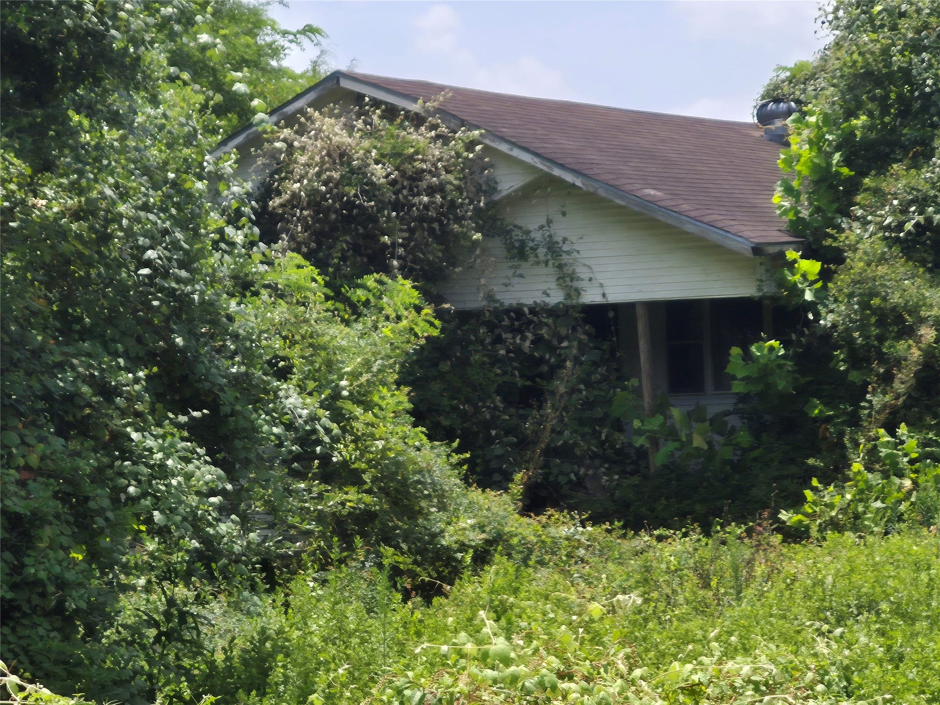37623 Meadowview Drive, Hempstead, TX 77445 37623 Meadowview Drive, Hempstead, TX 77445