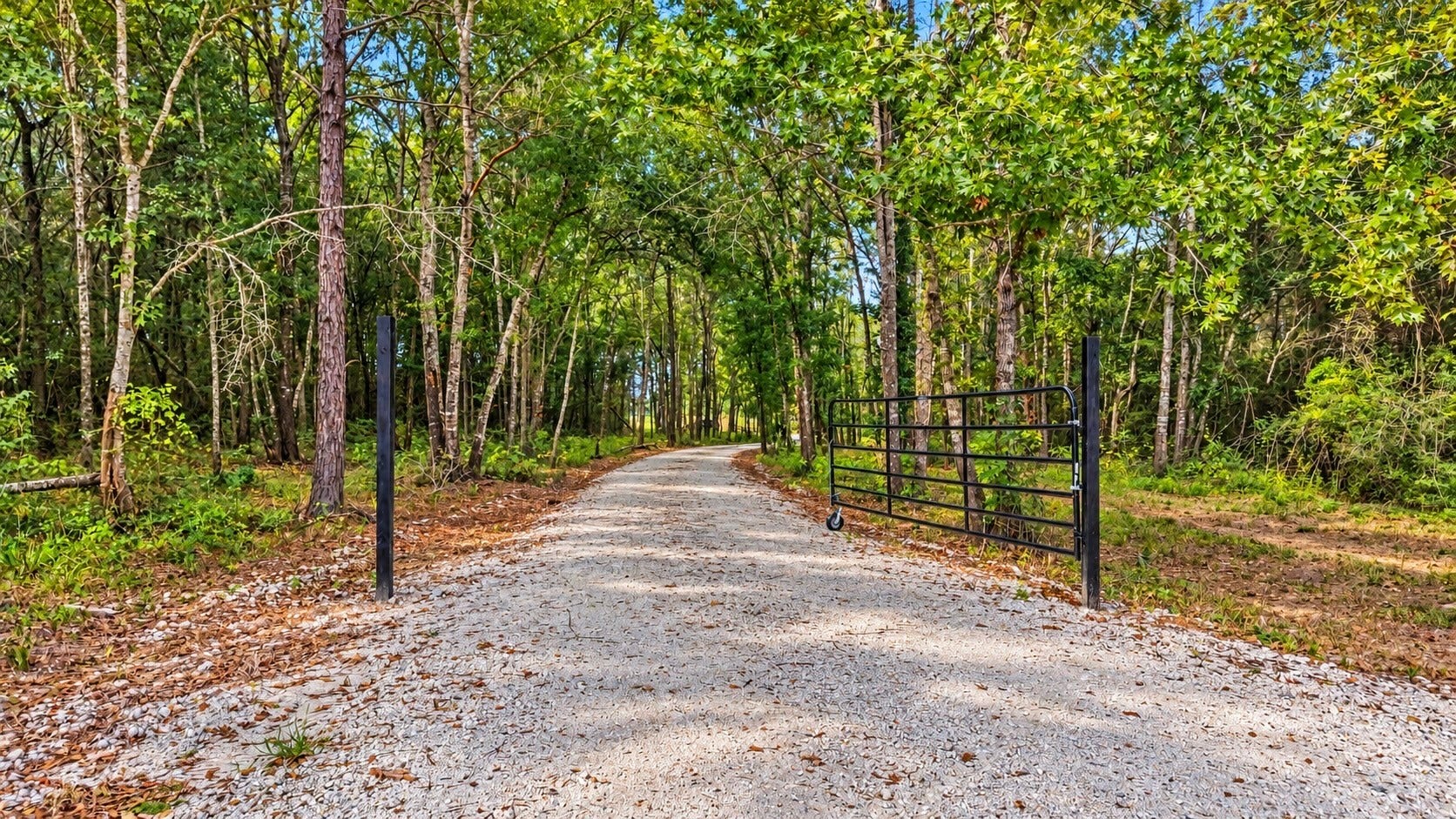 23136 Sharpwest Trail, Montgomery, TX 77356 23136 Sharpwest Trail, Montgomery, TX 77356