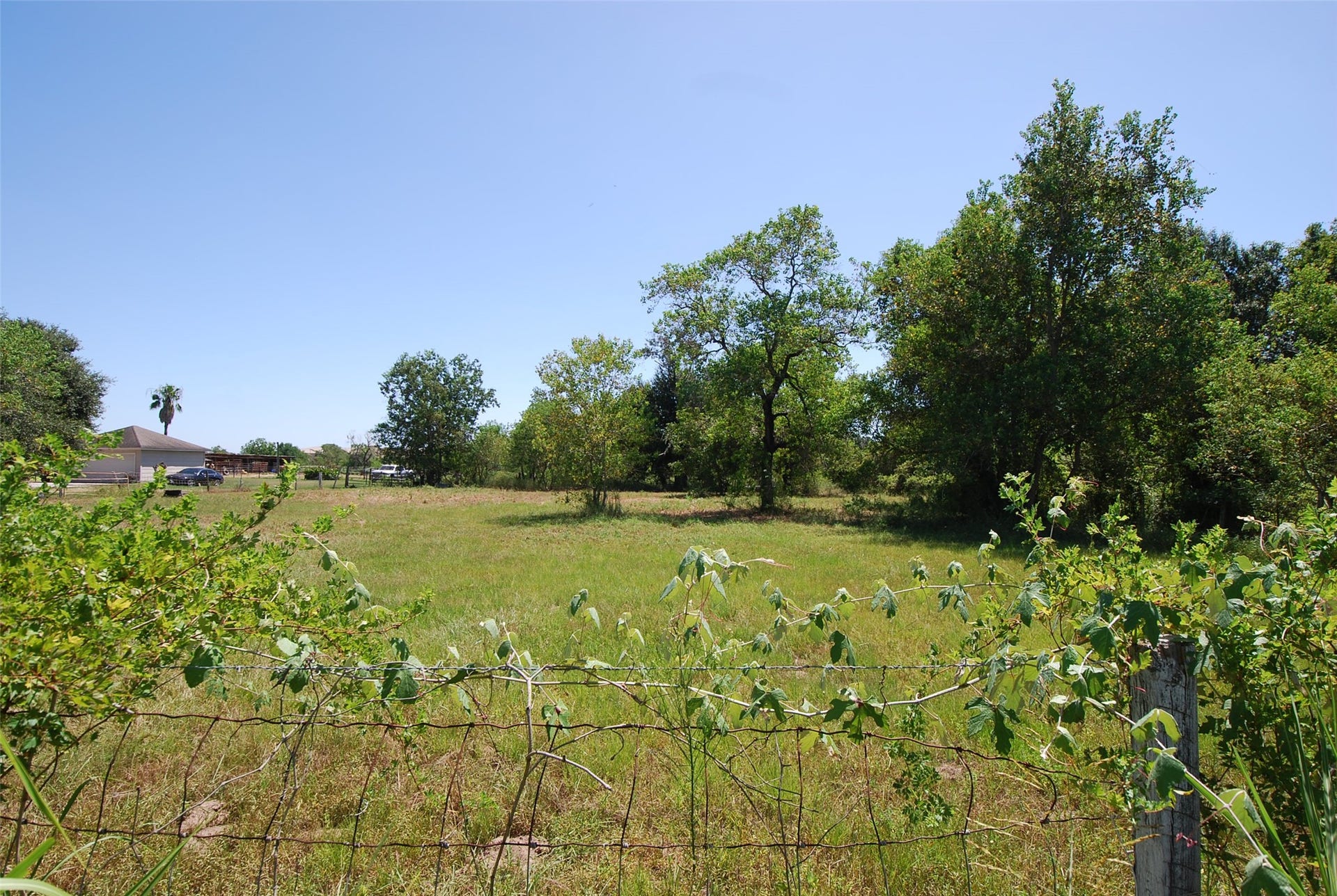 0 Fulshear Katy Road, Fulshear, TX 77441 This is a view taken from Fulshear-Katy road of the front of the property looking west.