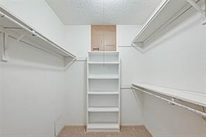 1 of 2 primary closets