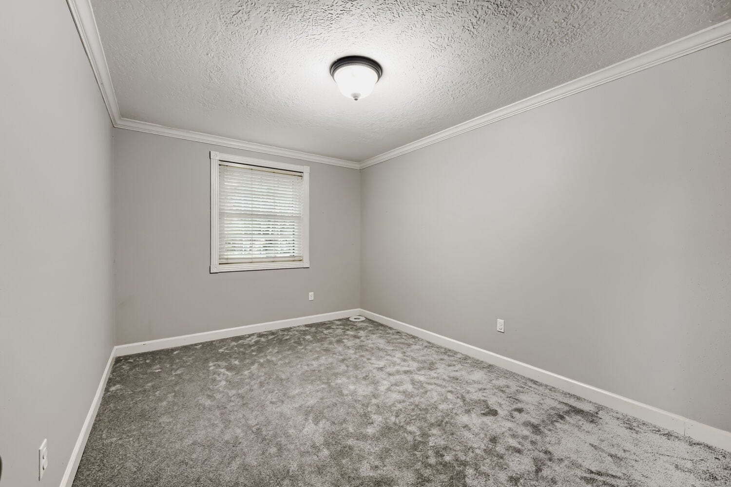 11007 Ensbrook Drive, Houston, TX 77099 11007 Ensbrook Drive, Houston, TX 77099