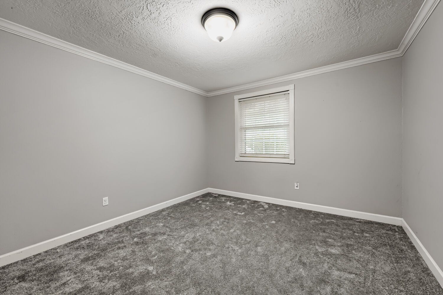 11007 Ensbrook Drive, Houston, TX 77099 11007 Ensbrook Drive, Houston, TX 77099