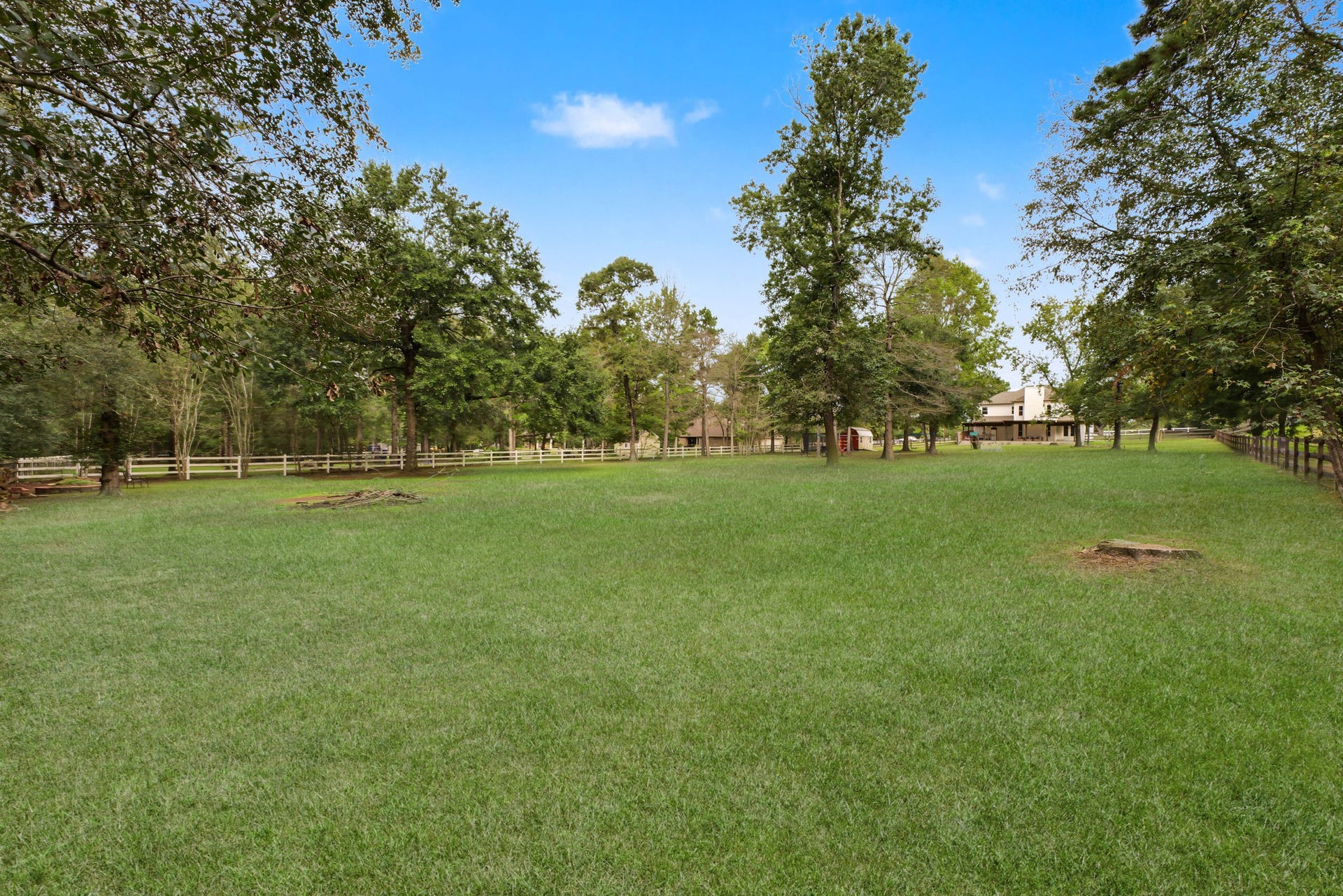 421 Trace Way Drive, Montgomery, TX 77316 View from the back of the property.