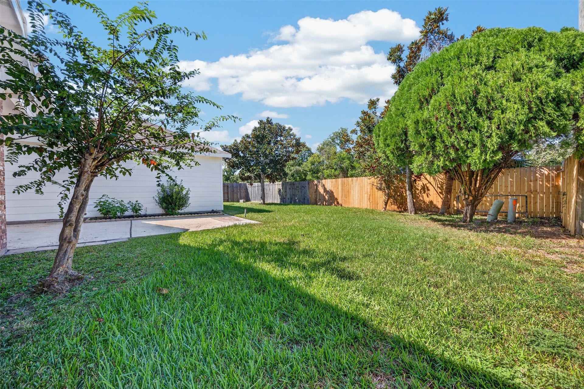 3114 Brannon Hill Lane, Sugar Land, TX 77479 Spacious backyard with lush green lawn, mature trees, and a privacy fence, offering a serene outdoor retreat.