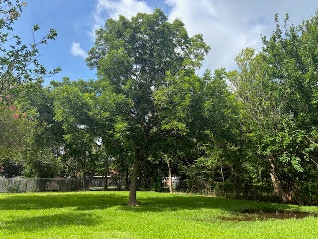 Property photo for 551 31st Street N, Texas City, TX