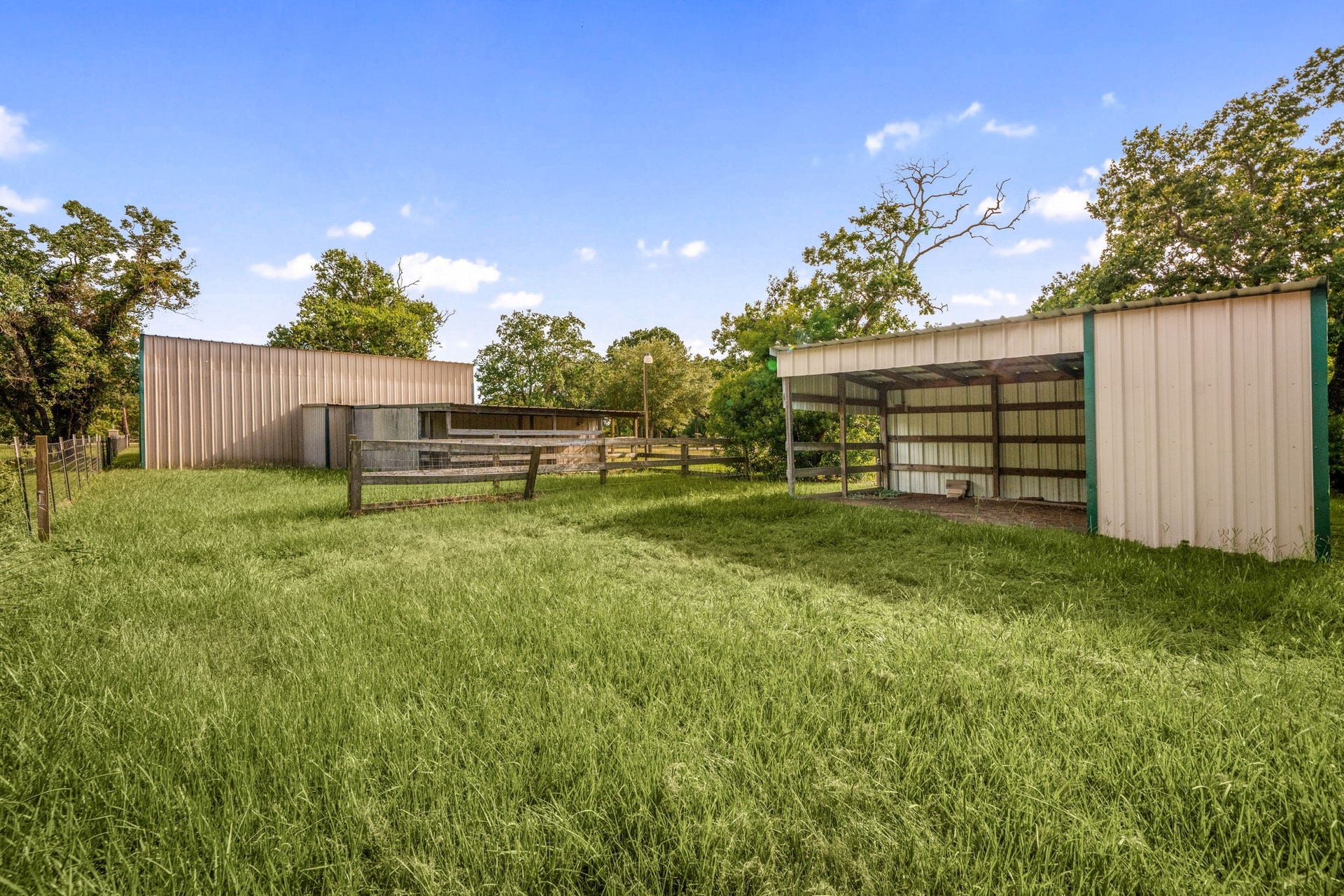 28310 Rose Lane, Katy, TX 77494 Excellent equestrian or livestock setup showcasing an open-sided run-in shed and multiple fenced paddocks across a lush green clearing. The secure layout features durable post-and-rail fencing, creating dedicated animal enclosures or structured pastures for farm management. Surrounded by mature trees and wide-open blue skies, this highly functional section of the property is completely move-in ready for horses, livestock, or hobby farming.