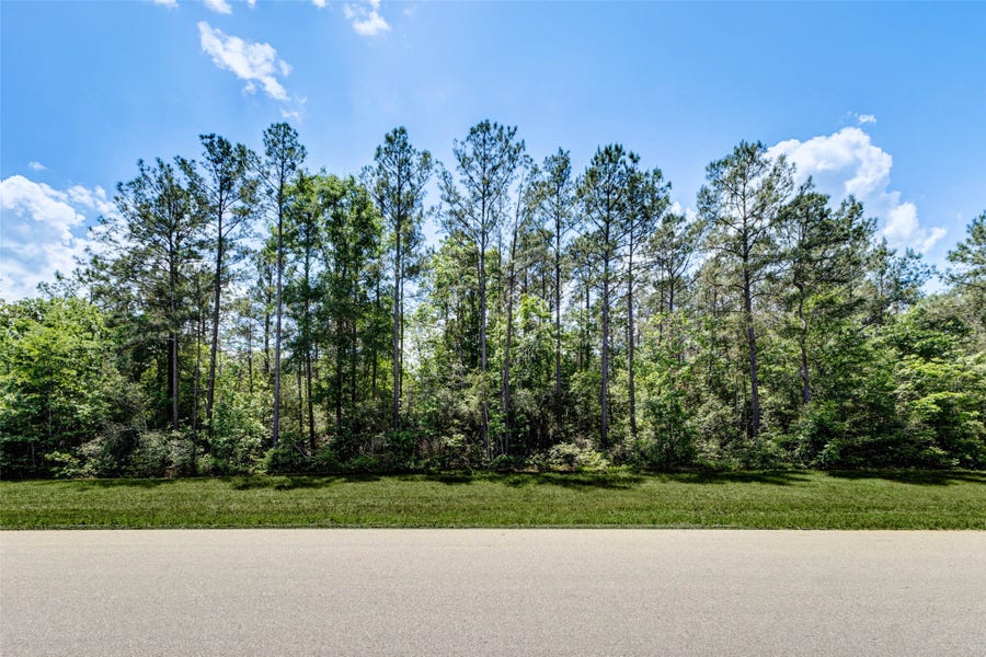 Property photo for 10774 Ruger Road, Willis, TX