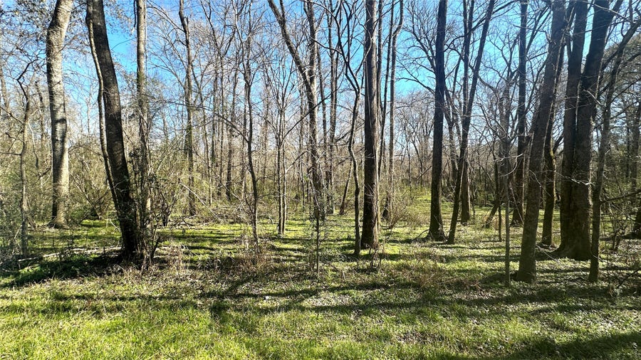 Property photo for 00 Royal Springs Rd, Conroe, TX