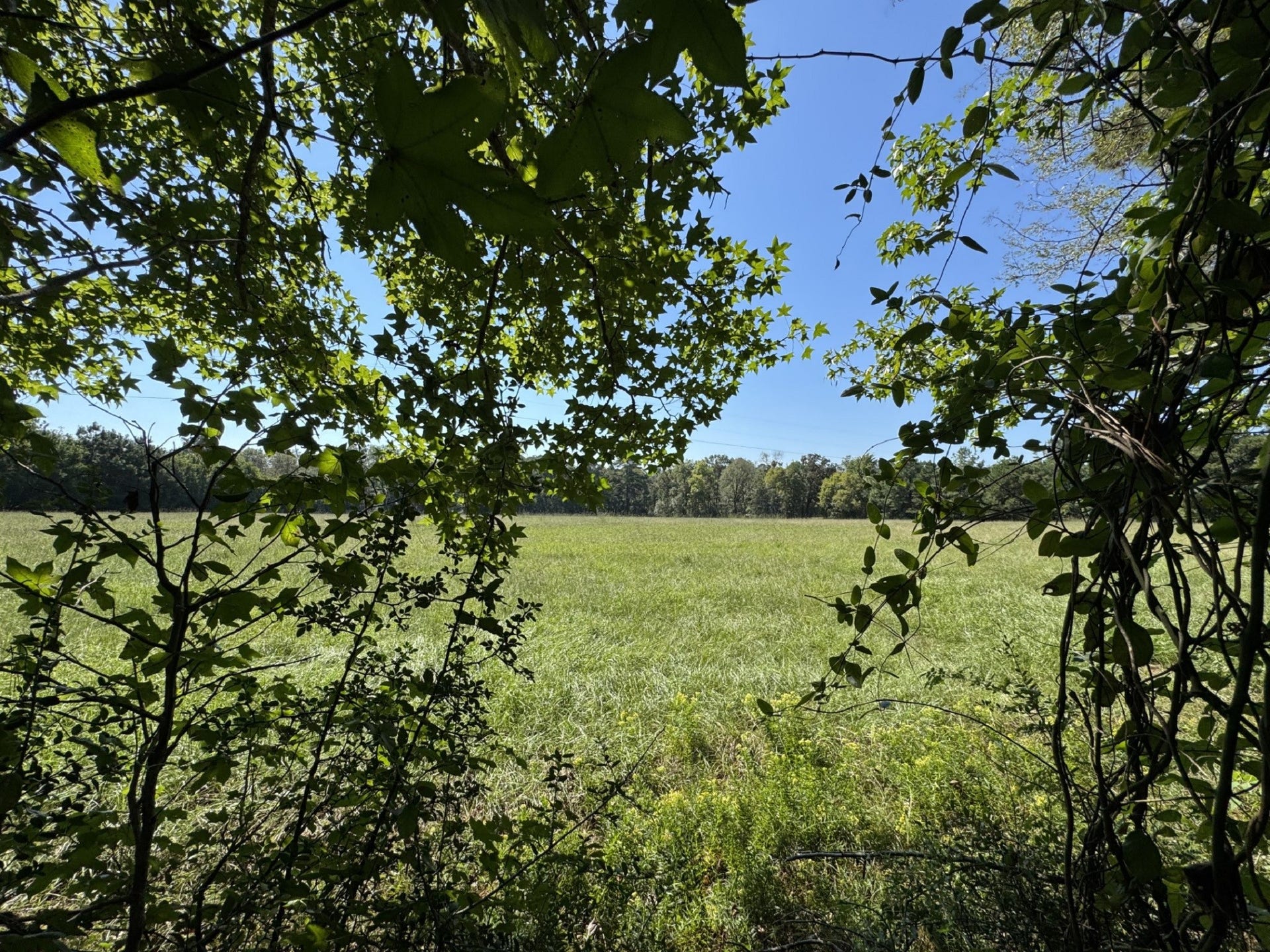 TBD County Road 3550, Woodville, TX 75979 TBD County Road 3550, Woodville, TX 75979