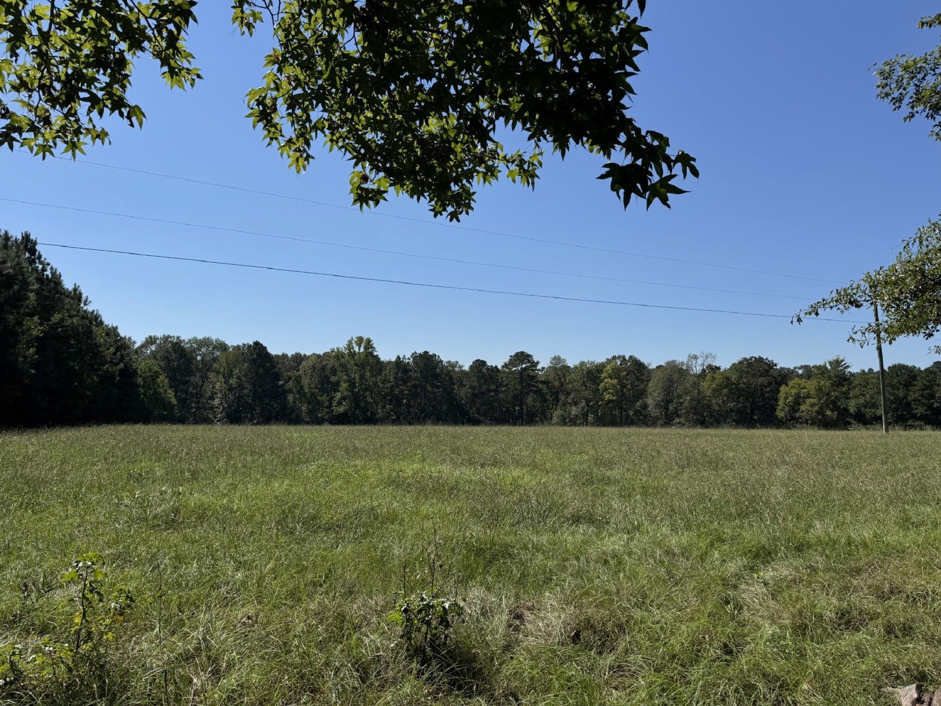 TBD County Road 3550, Woodville, TX 75979 TBD County Road 3550, Woodville, TX 75979
