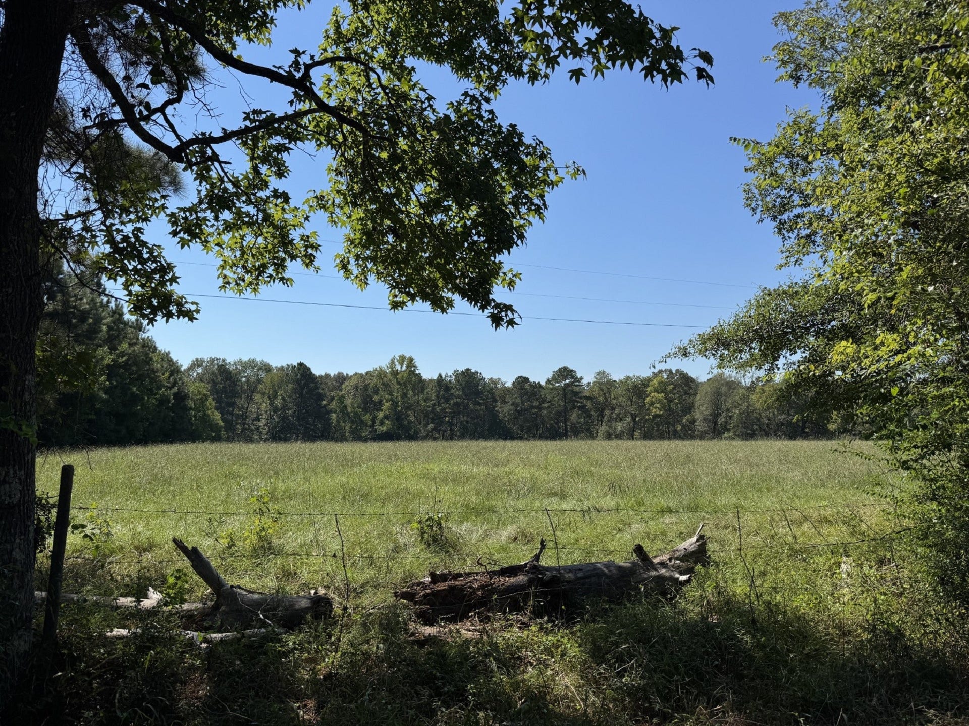 TBD County Road 3550, Woodville, TX 75979 TBD County Road 3550, Woodville, TX 75979