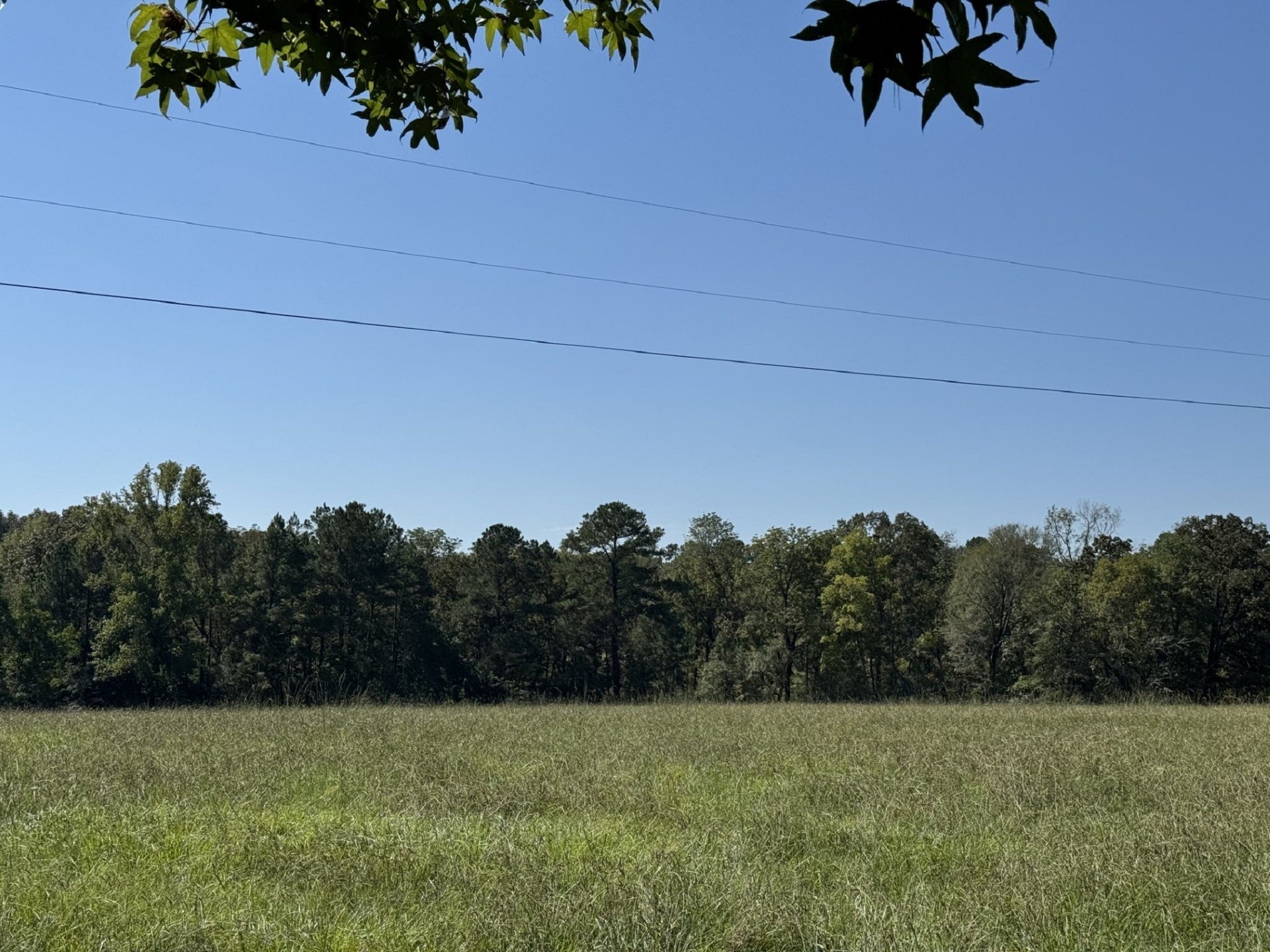 TBD County Road 3550, Woodville, TX 75979 TBD County Road 3550, Woodville, TX 75979