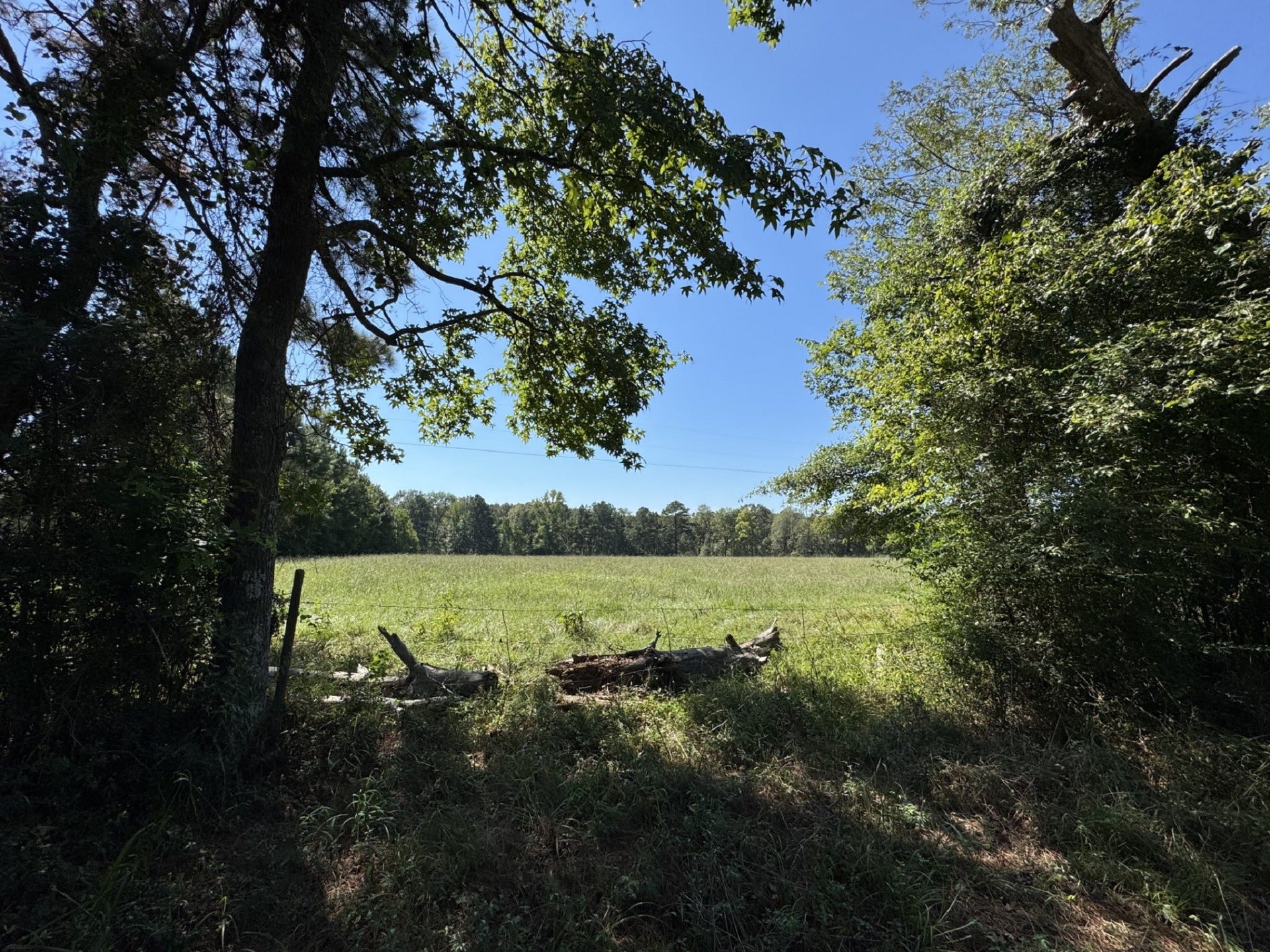 TBD County Road 3550, Woodville, TX 75979 TBD County Road 3550, Woodville, TX 75979