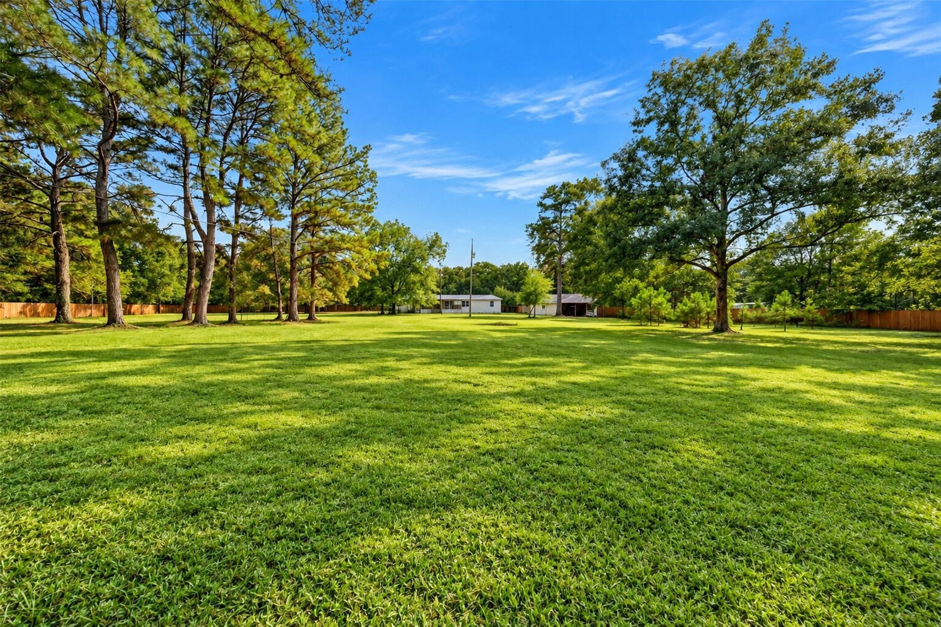 2581 Mann Road, Conroe, TX 77303 Expansive yard surrounded by mature trees with plenty of space to enjoy the outdoors.