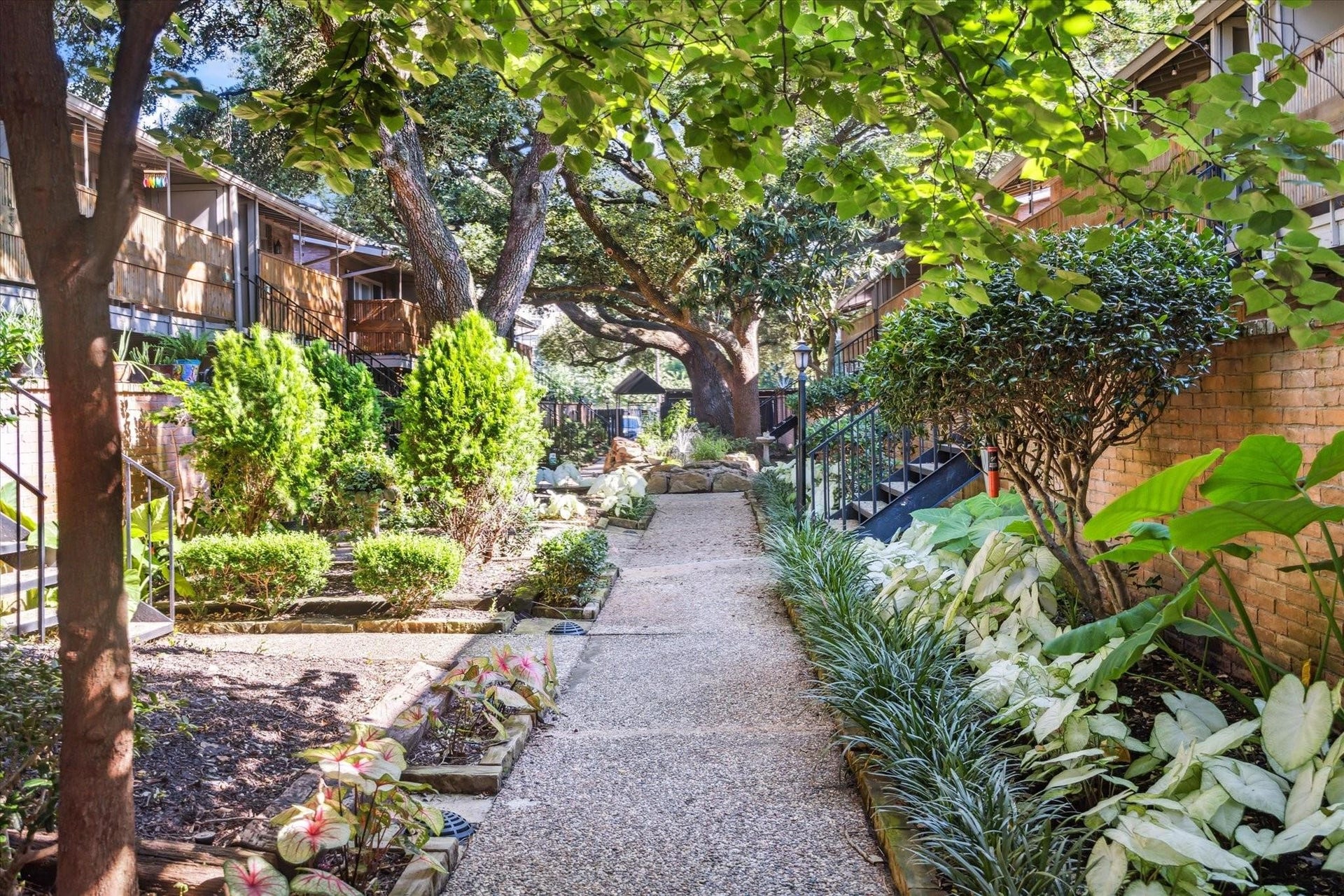 3928 W Alabama Street, #11, Houston, TX 77027 Well manicured courtyard