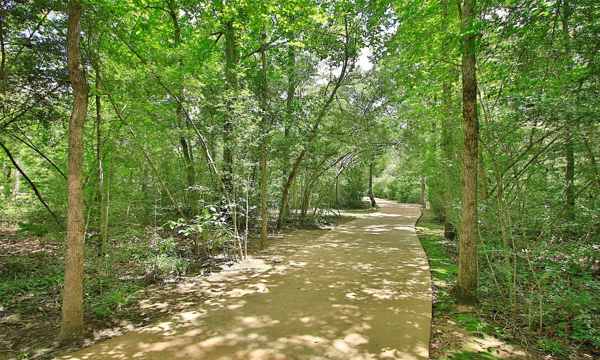 208 Sunbeam Glade Court, Willis, TX 77318 Community photos