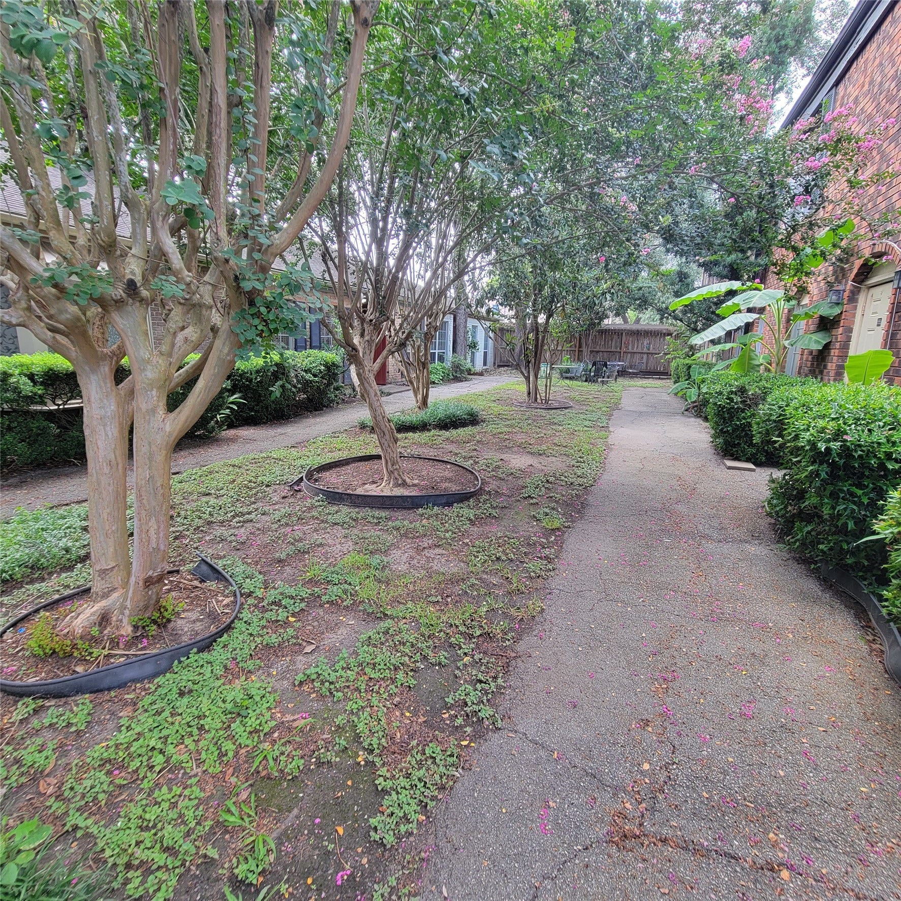 5212 Arboles Drive, #B, Houston, TX 77035 5212 Arboles Drive, #B, Houston, TX 77035