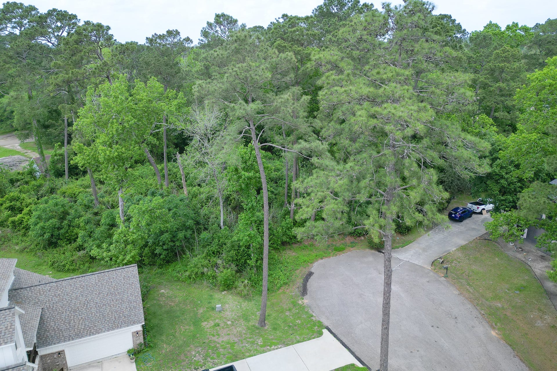 0 Roanoke Drive, Conroe, TX 77302 0 Roanoke Drive, Conroe, TX 77302
