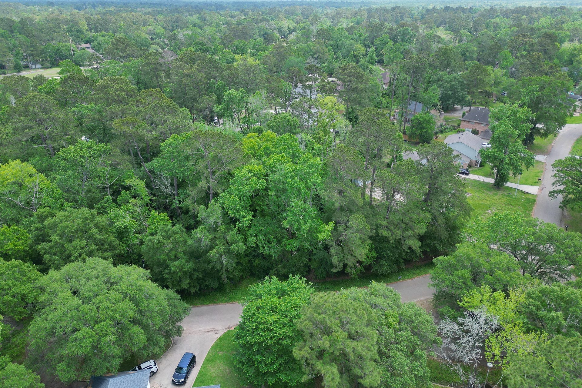 0 Roanoke Drive, Conroe, TX 77302 0 Roanoke Drive, Conroe, TX 77302