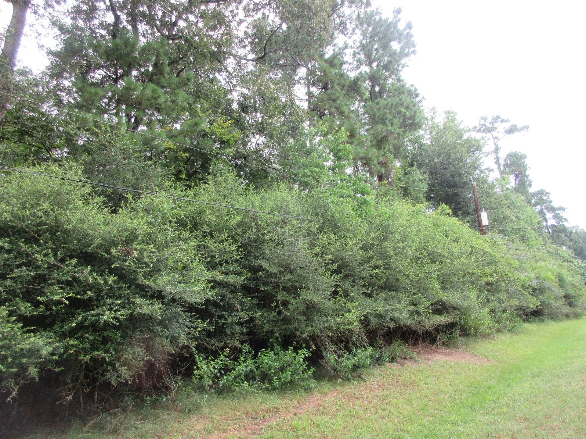 412-414 Wagon Wheel Road, Stagecoach, TX 77355 Street view of the three lots