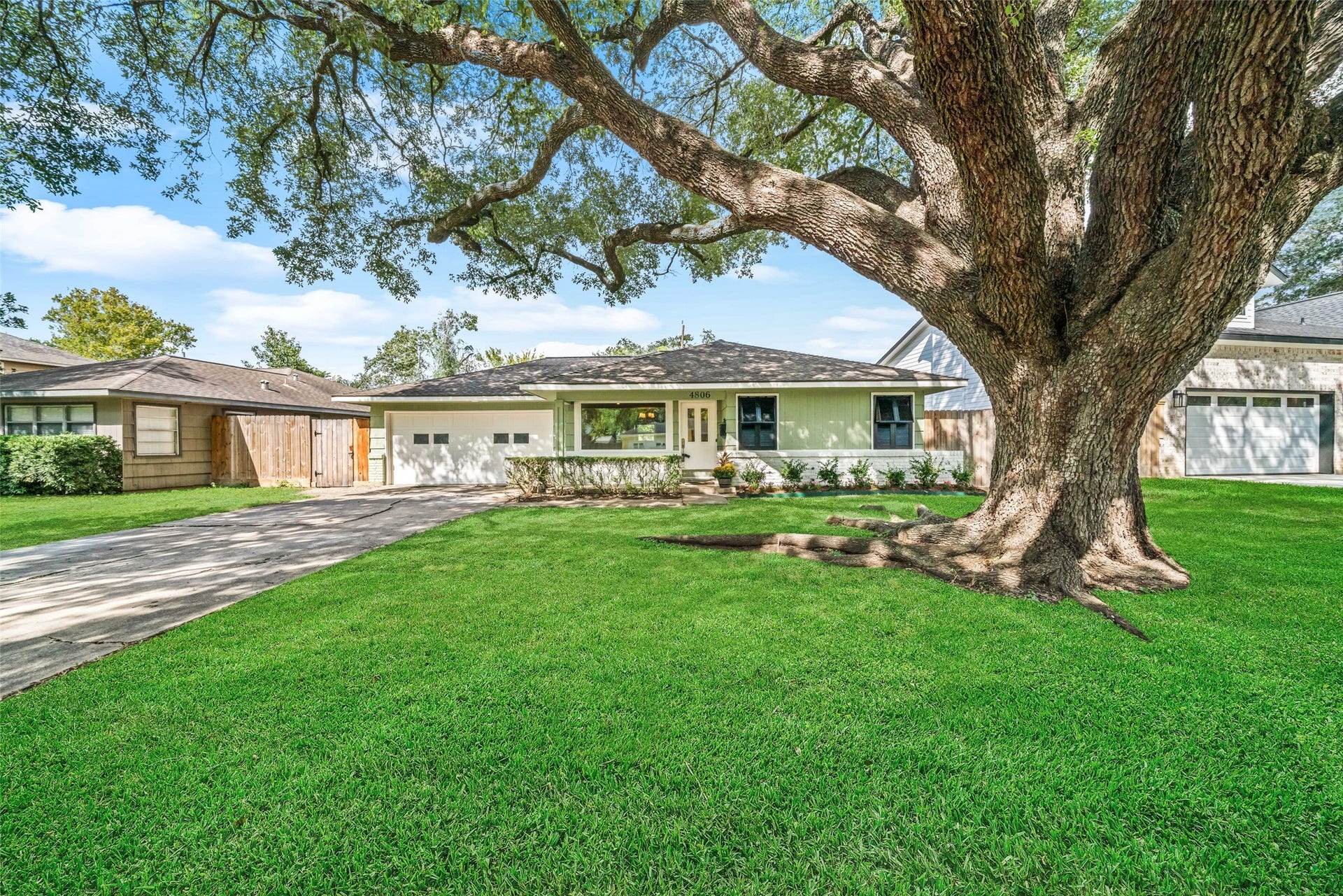 4806 Hummingbird Street, Houston, TX 77035 Charming single-story home with a spacious front yard and a magnificent mature tree, offering ample shade and a welcoming atmosphere.