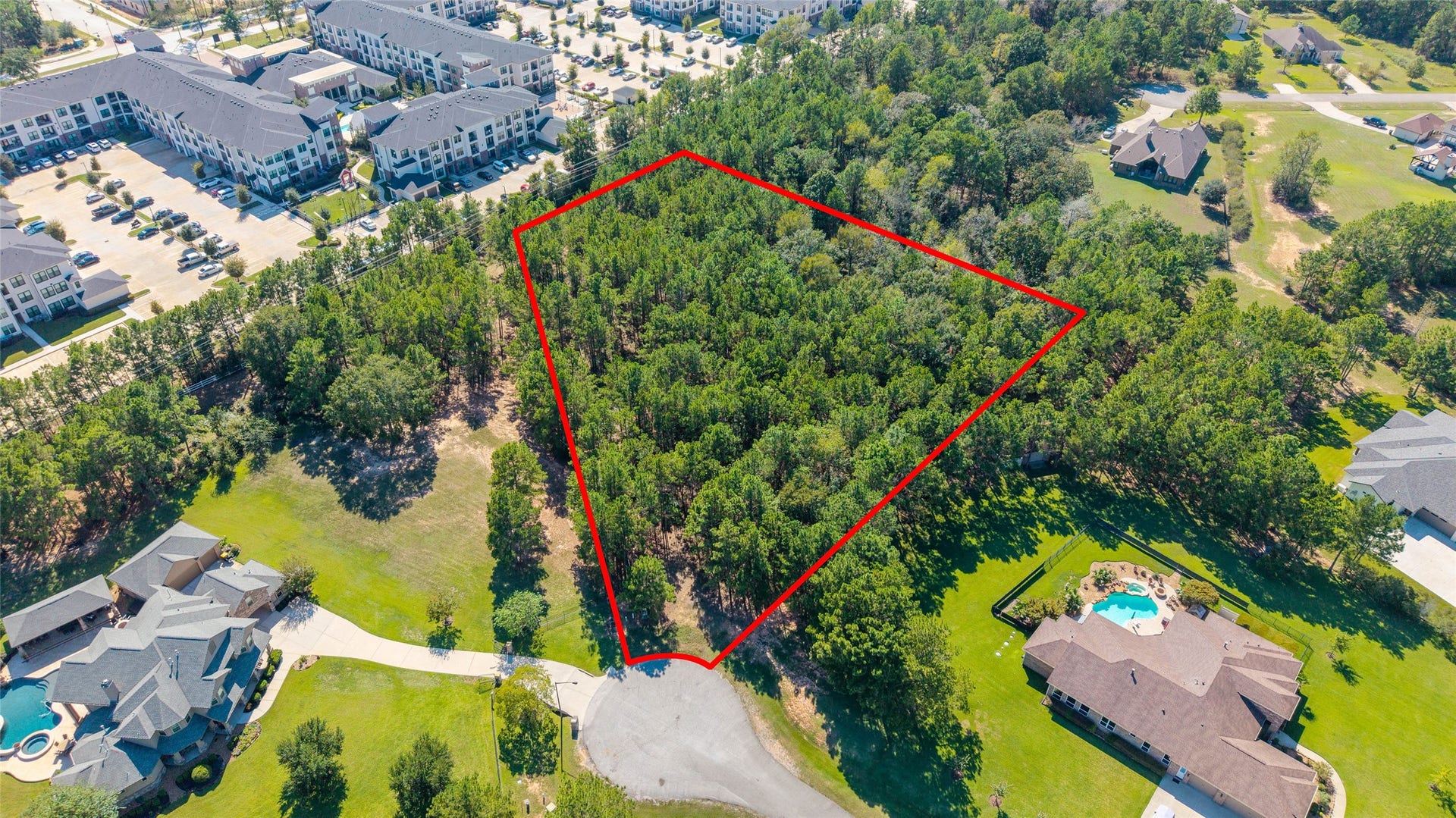 0 Ridgelake Court, Montgomery, TX 77316 Expansive wooded lot nestled in a serene neighborhood, offering privacy and natural beauty, with easy access to nearby amenities and residential areas.