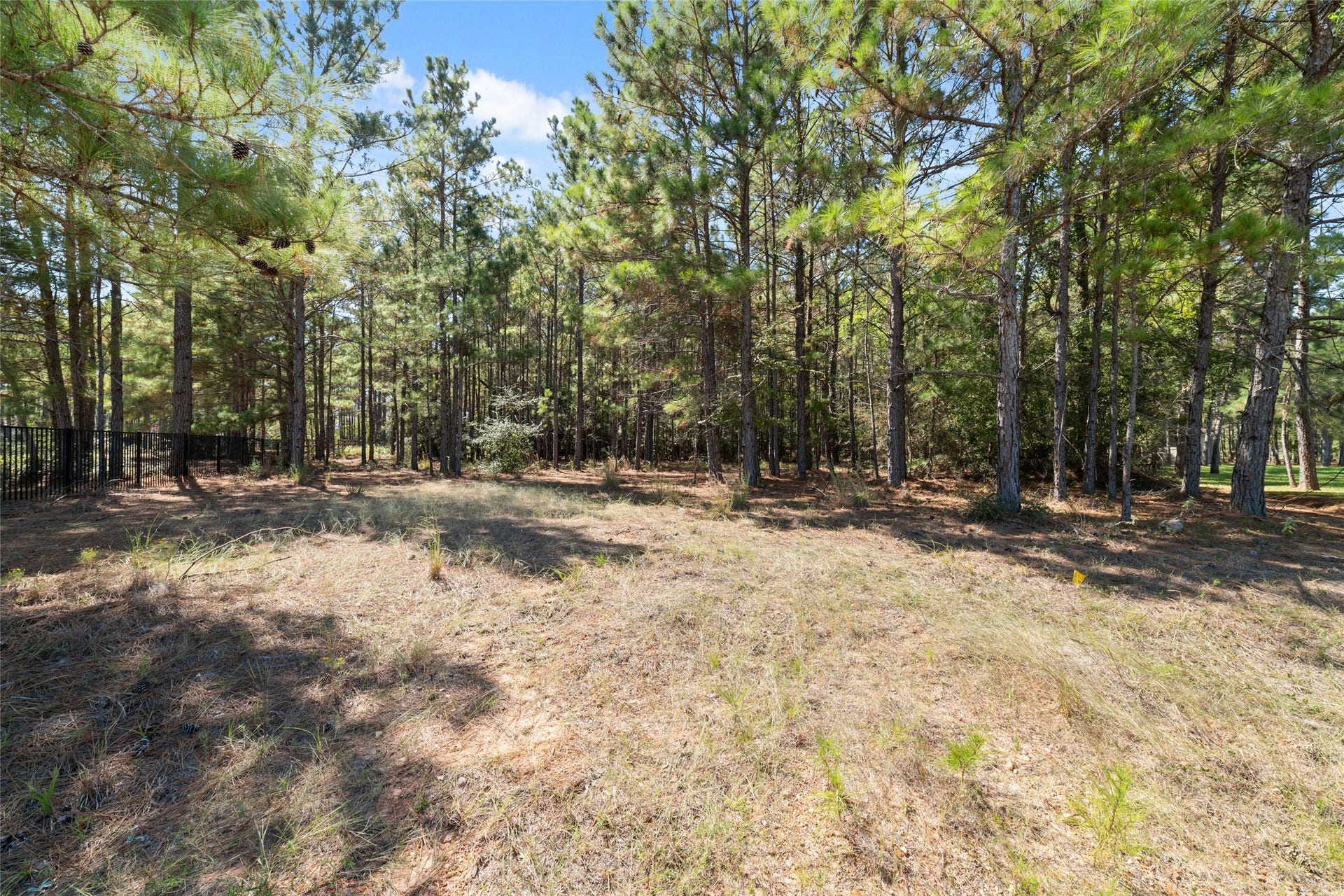 0 Ridgelake Court, Montgomery, TX 77316 Imagine the possibilities! Beautiful mature trees, and a peaceful natural setting provide the perfect backdrop for your future dream home. Enjoy the beauty of nature right outside your door!