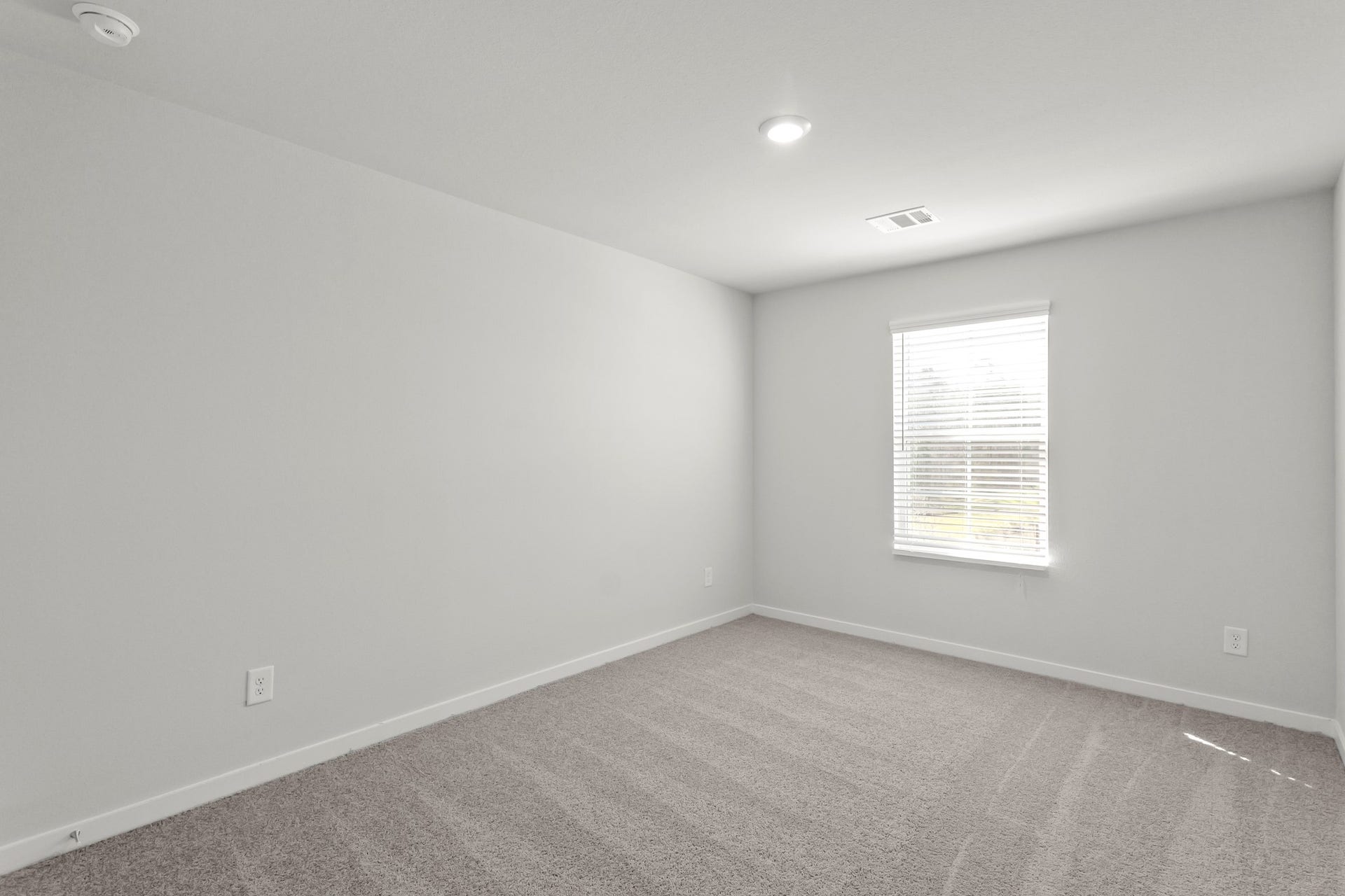 26227 Venus Trap Trail, Katy, TX 77493