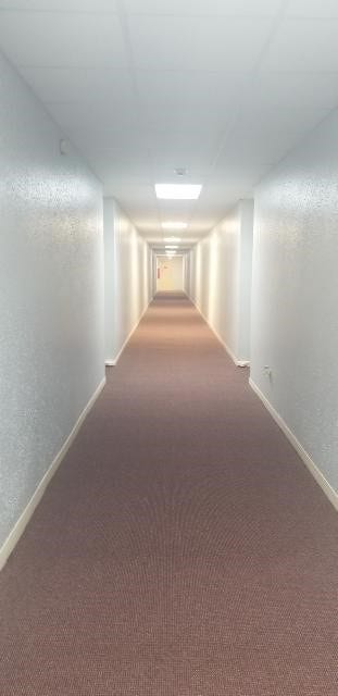 8433 Hearth Drive, #38, Houston, TX 77054 Elevators available at every floor.