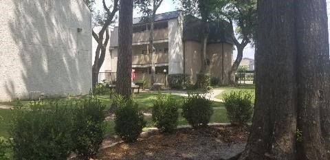 8433 Hearth Drive, #38, Houston, TX 77054 Pic-Nique Area