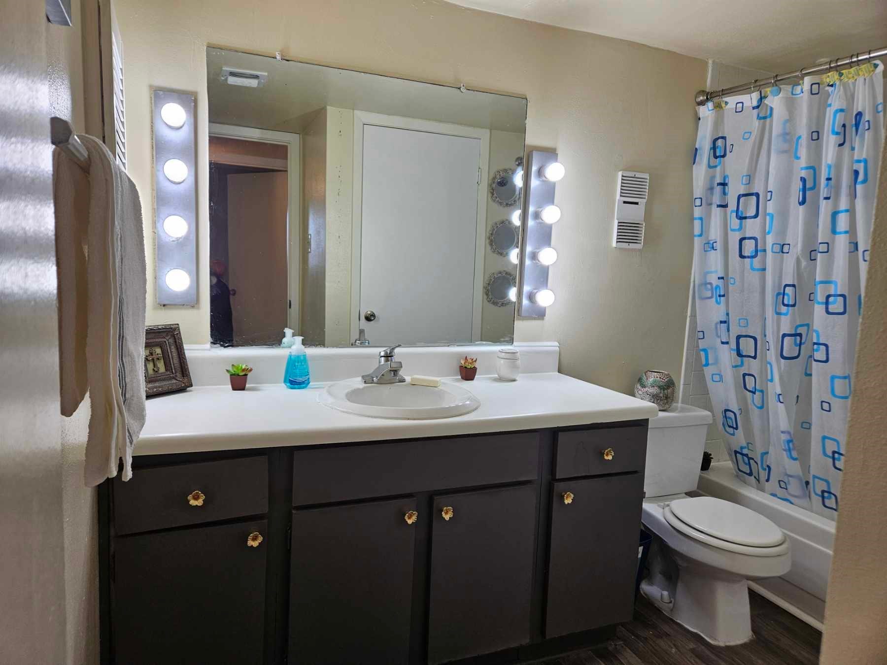 8433 Hearth Drive, #38, Houston, TX 77054 Full bathroom with shower and Bath Tub.