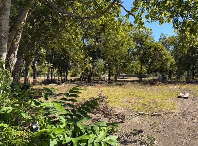 101 Virginia Street, South Houston, TX 77587 101 Virginia Street, South Houston, TX 77587