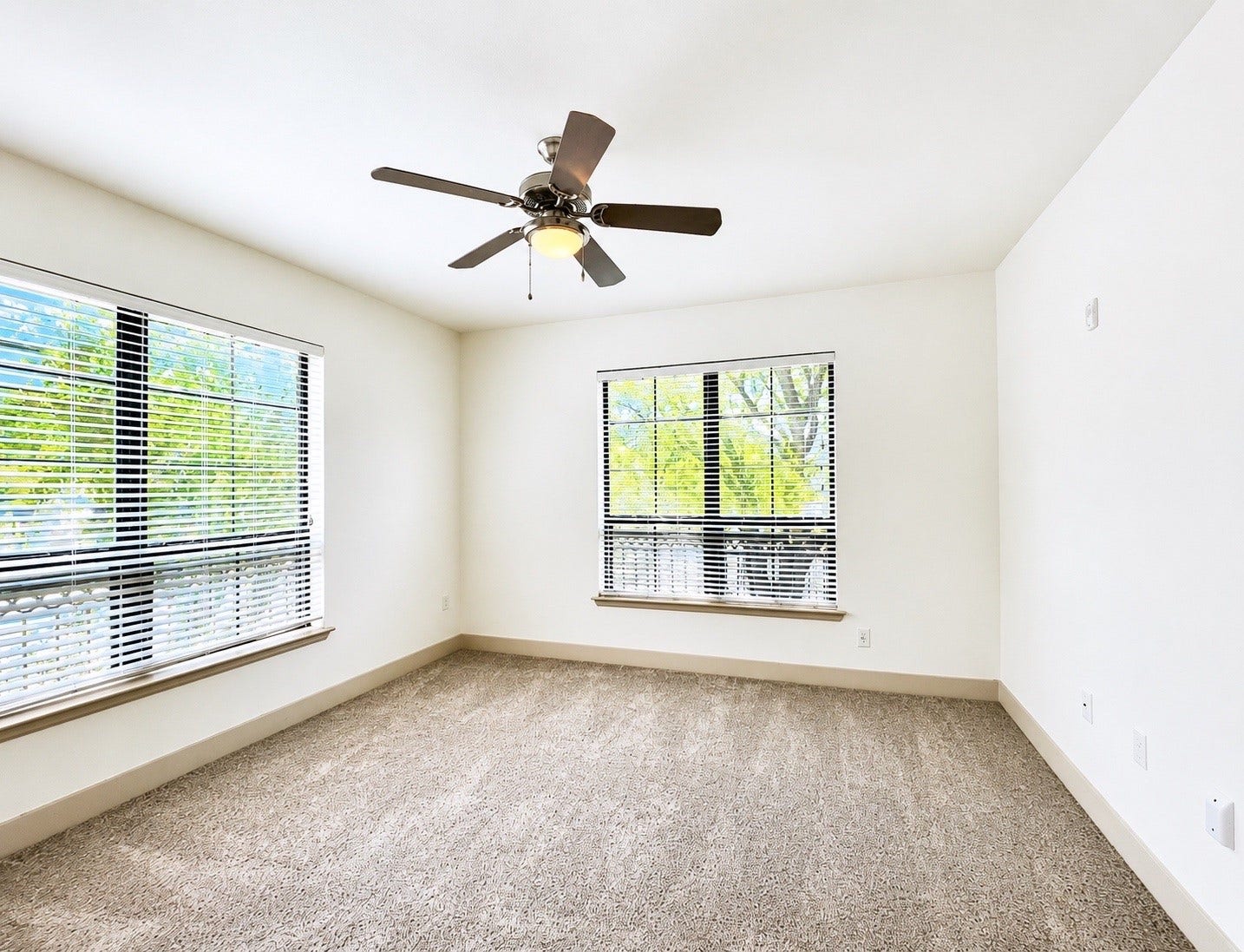 2222 Smith Street, #102, Houston, TX 77002