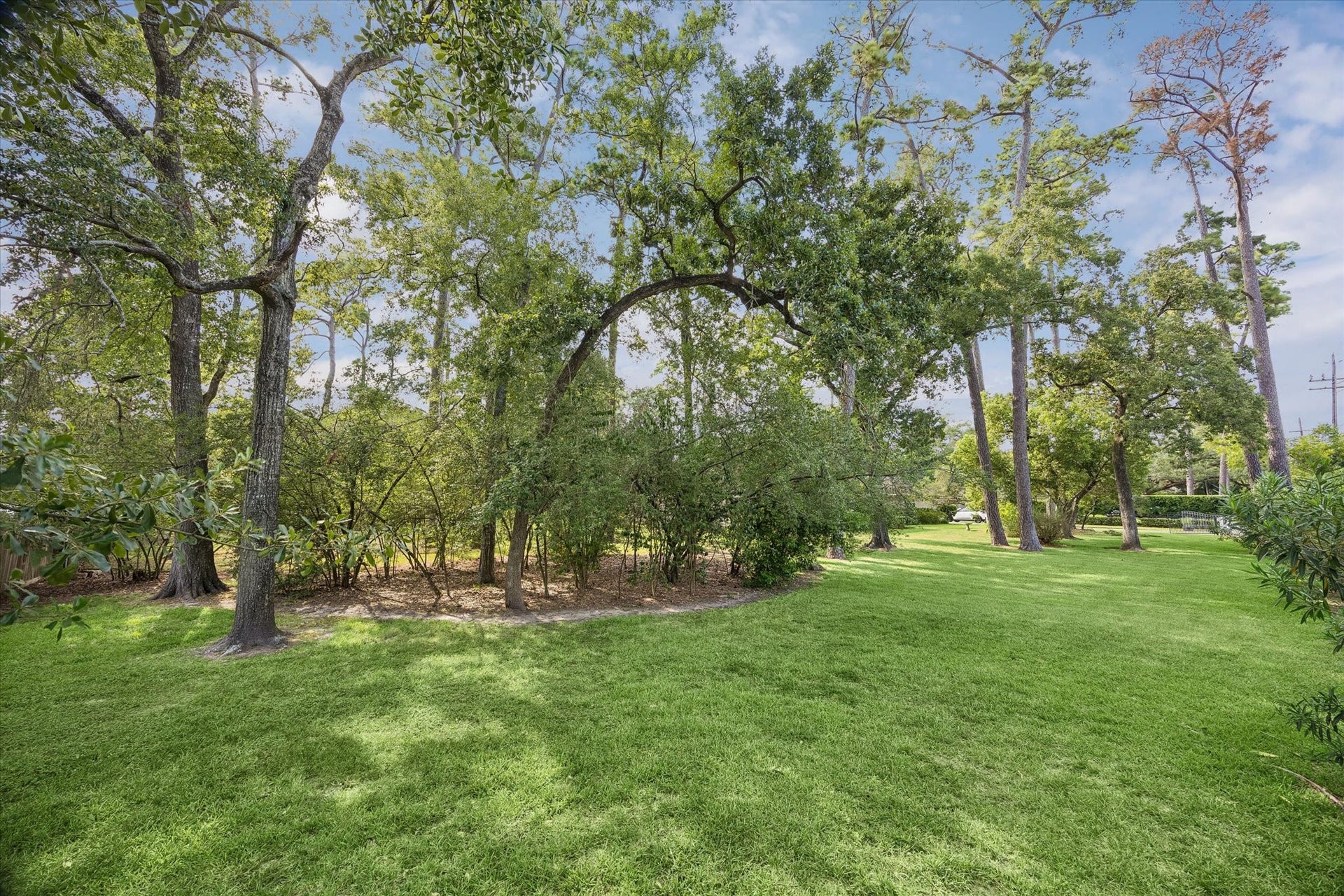 711 Echo Lane, Houston, TX 77024